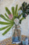 Peony by the Sea.jpeg