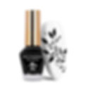 Flacon de vernis de stamping Molly Nails PRO Stamping noir, couleur intense et haute précision pour nail art.
