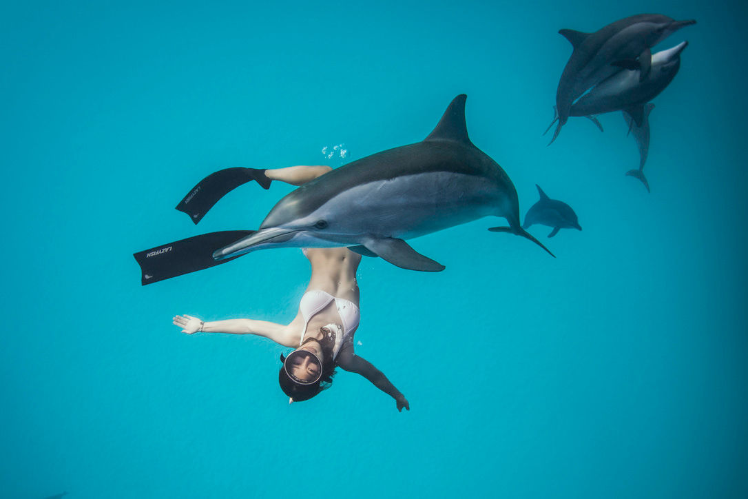 Underwater photography trips- egypt.jpeg