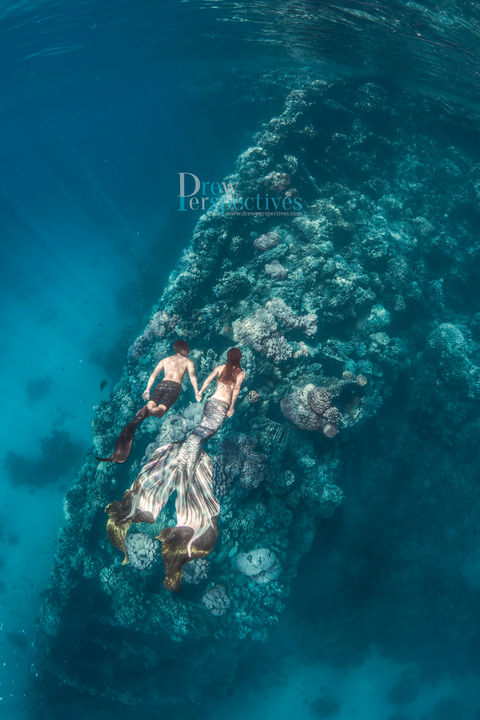 Underwater photography trips- egypt.jpeg