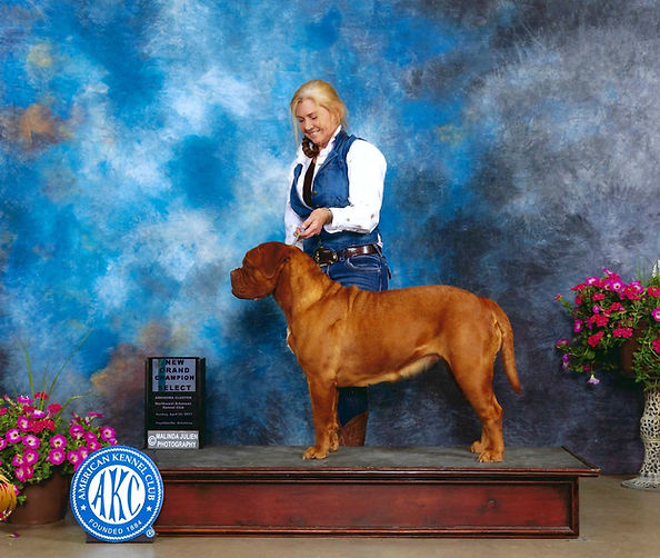 Kamio new Grand Champion  3 yers old.jpg
