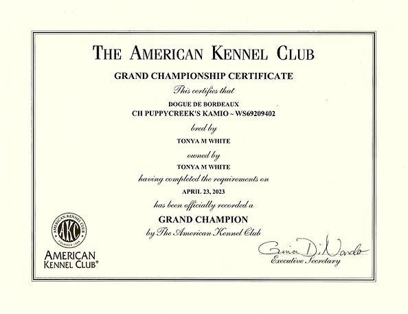 Kamio GCH Certificate.jpg