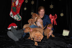 GrootX Xena Girls 8 weeks (15)