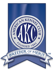 AKC Breeder of Meritt