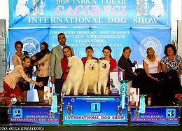 щенки, пинчер, цвергпинчер, карликовый пинчер, Дель Айленд, питомник