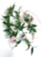 image6.jpeg