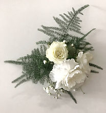 image4.jpeg