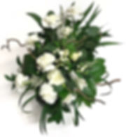 image1.jpeg
