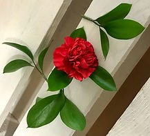 image1.jpeg