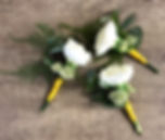 image6.jpeg