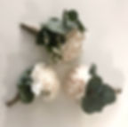 image3.jpeg