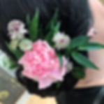 image1.jpeg