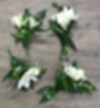 image1.jpeg