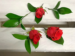 image3.jpeg