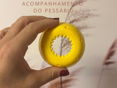 Como deverá ser o acompanhamento de quem colocou pessario?