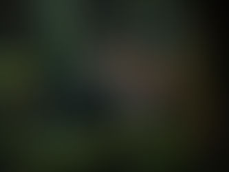 ритуальный язык Майомбе