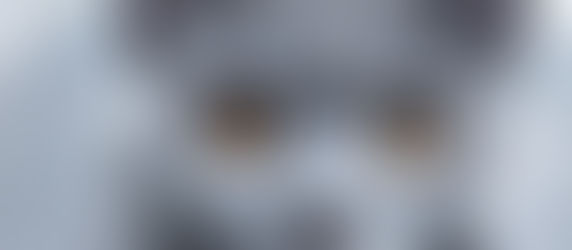 Worum es eigentlich gehen sollte: Nächstenliebe