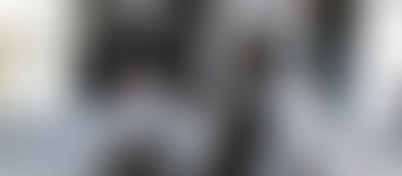 Einstieg: Katzensprache