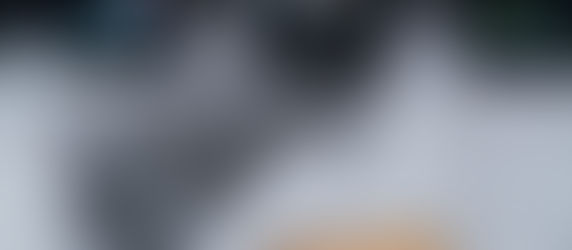 Spenden für Tiere in Not durch das Hochwasser