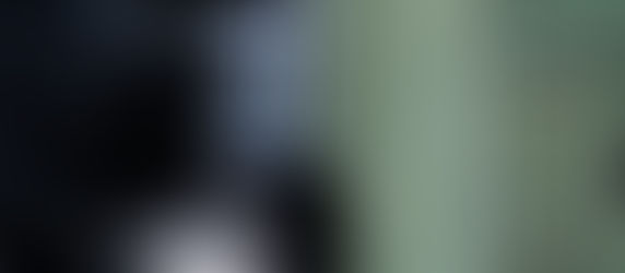 Tipps für die Fellpflege