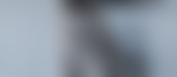 Katzensprache ▪️ Part VII ▪️ Achtsamkeit