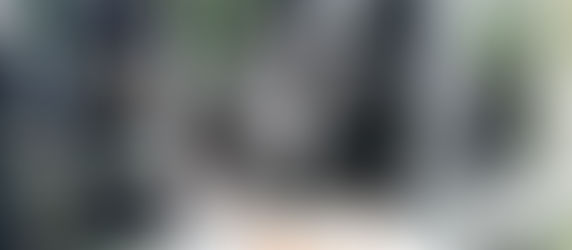 Nachhaltig den Jagdinstinkt fördern durch Katzenangeln