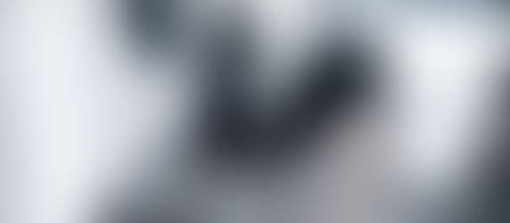 Verfolgt von einer Katze