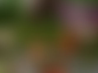 Seasonal Foods Flavor of Your Land