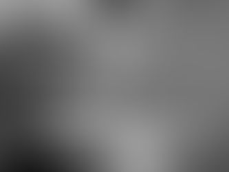 PREVENTING DEMENTIA: LIFESTYLE WORKS