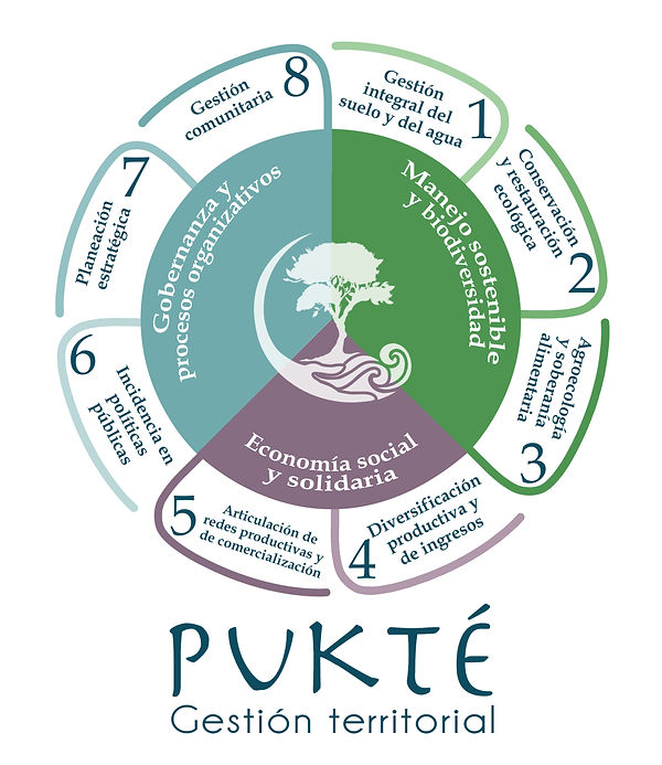 Resumen copia_edited.jpg