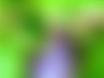 So bekommt das Leben einen Sinn.