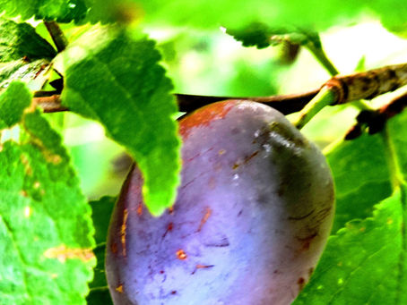 So bekommt das Leben einen Sinn.