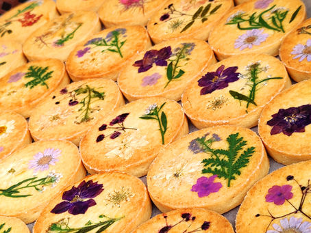 Eine Reise zu phantastischen Orten machen.