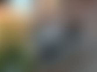 Was für ein rasantes Jahr.