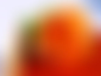 Lasst Blumen sprechen! 💕