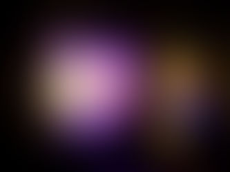 Was für ein rasantes Jahr.