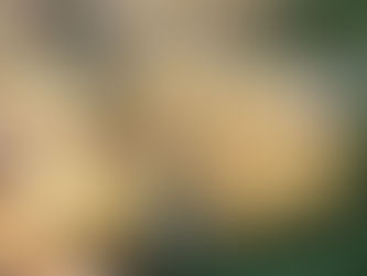 Der Trend des Suchens.