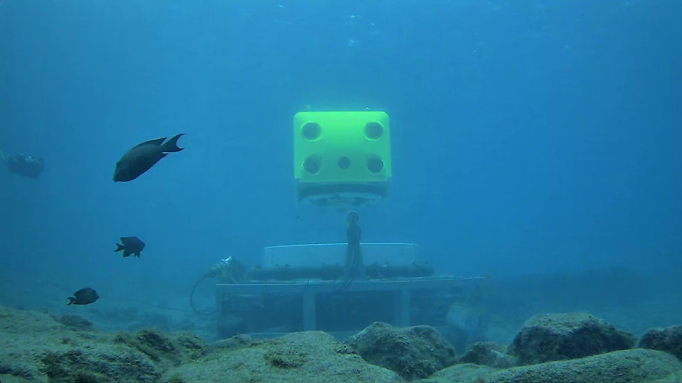 水中充電ステーションから自動で航行するAUV。世界で初めて画像のみによる位置推定技術を搭載した(2月、鹿児島県・十島村口之島の漁港)=いであ提供