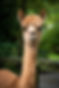 PWP-2019-routekaartjes-LOW-RES-15.jpeg