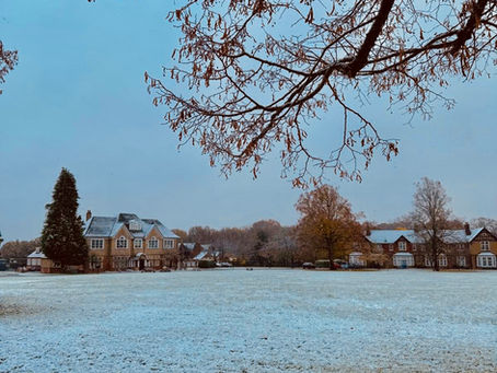 New Year, Fresh Encounter