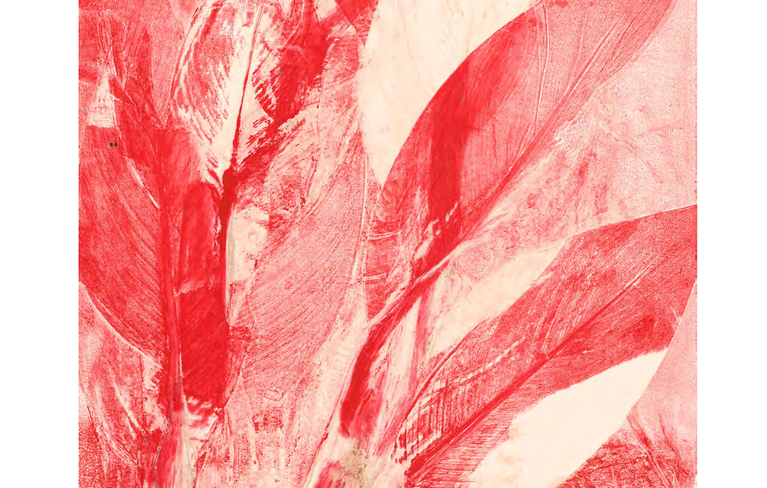 Liu zhenchen-Amsterdam.jpg