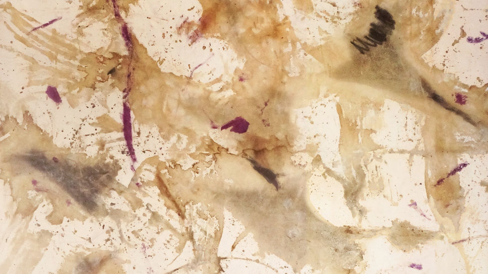 Yiliang V_150x200cm_Rose, burned rose, macerated rose on canvas_2017