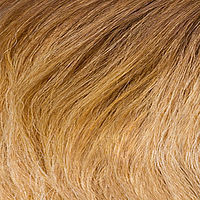 Thumbnail: EVITA RH - Monofilament + hand-tied