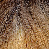 Thumbnail: FERRARA - Monofilament + hand-tied