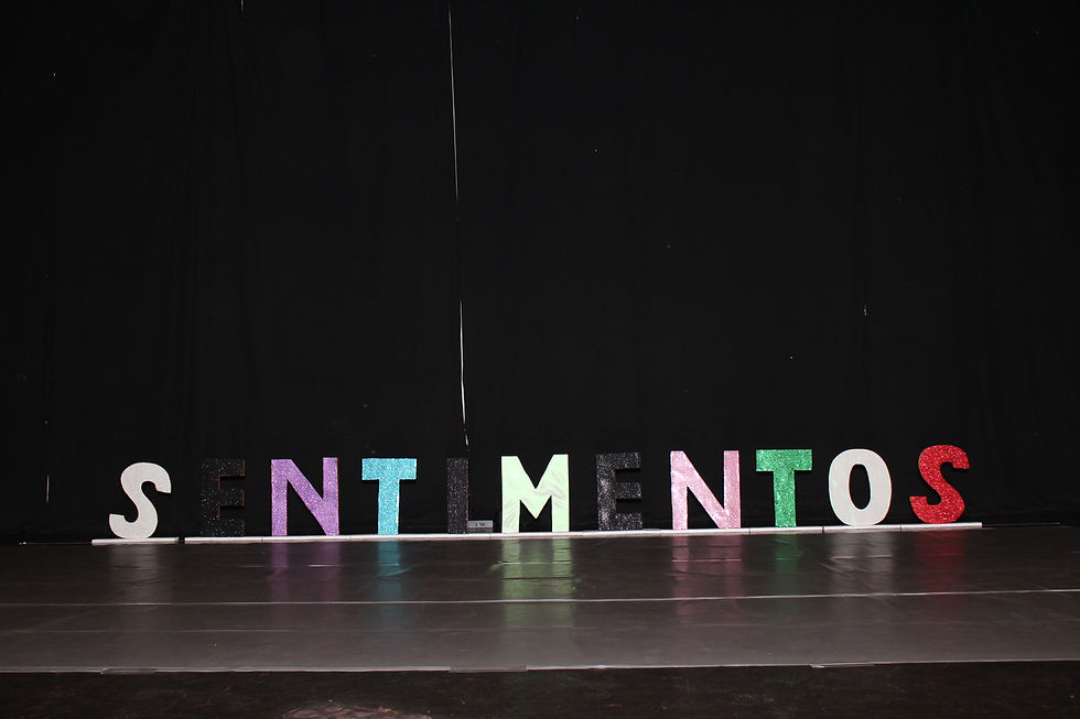 lê-se a palavra "sentimentos' no meio de um palco.