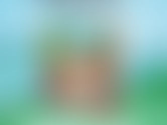 ¿Dónde está Chocolo? 🐾