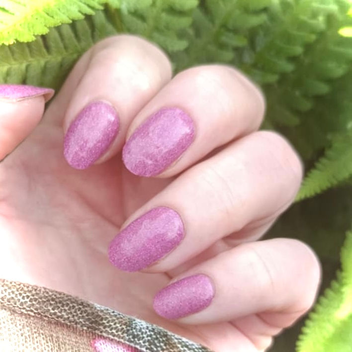 Miniaturbild: Magic Fuchsia Fever