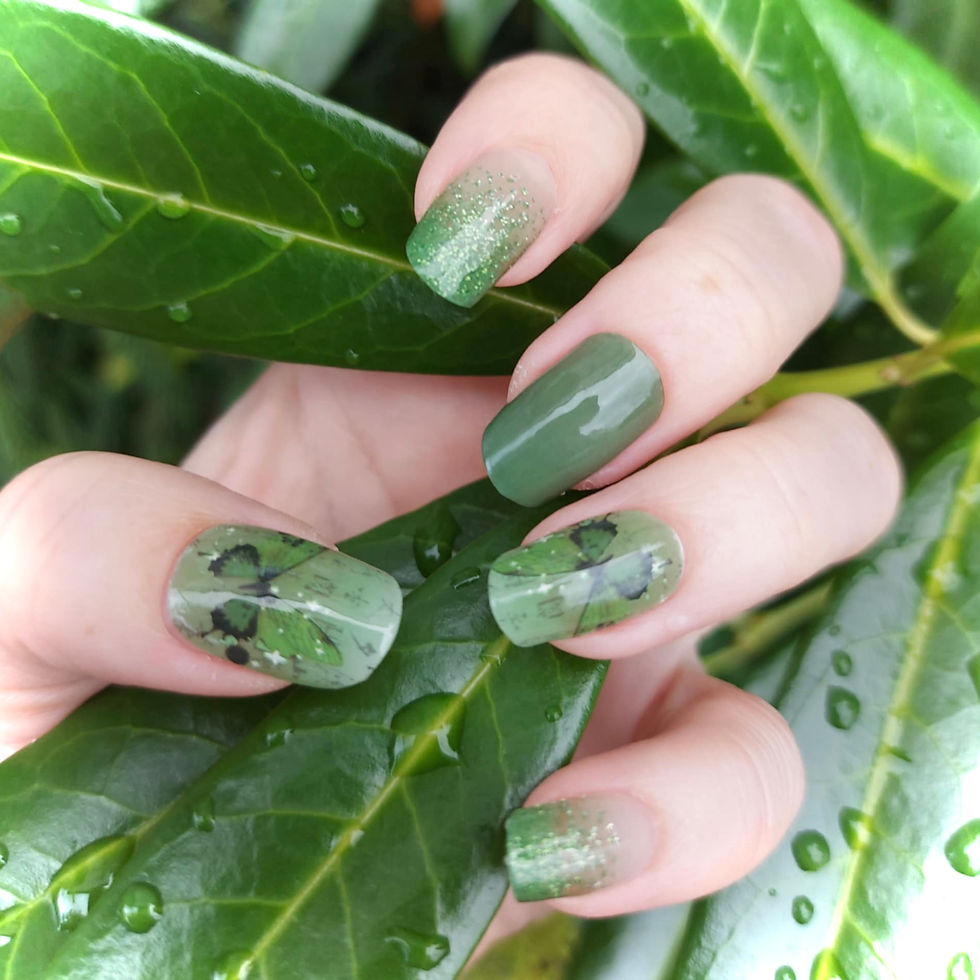 Miniaturbild: Green Butterfly