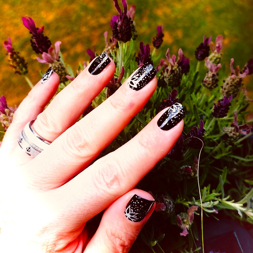 Miniaturbild: Silberblume
