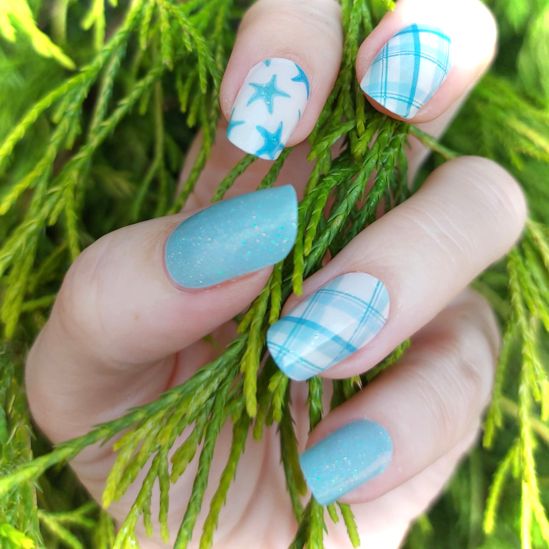 Starfish Blue (UV-Folie)